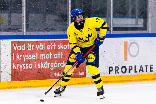 Elton Hermansson of Sweden