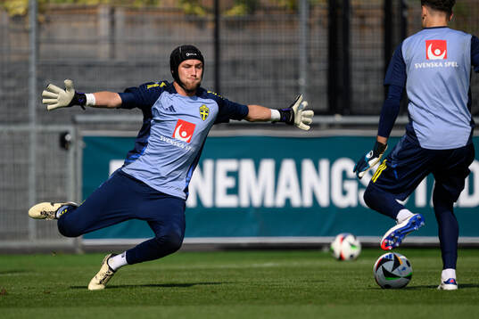 Goalkeeper Noel Törnqvist