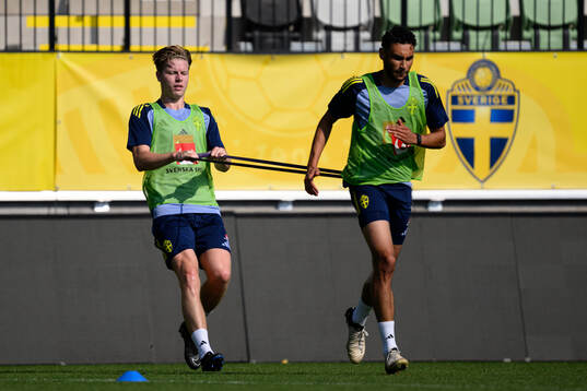 Nils Zätterström and Joakim Persson