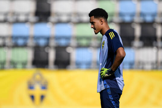 Goalkeeper Oliver Dovin