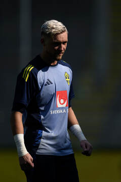Goalkeeper Noel Törnqvist