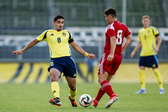 Aimar Sher of Sweden