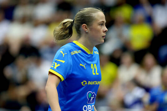 Moa Dynefalk