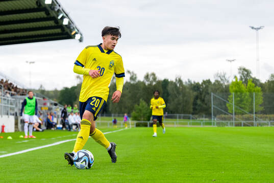 Alexander Thongla-Iad Warneryd of Sweden