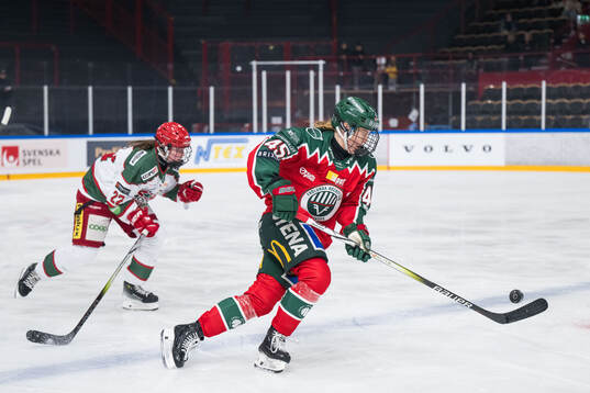 Bläddra bland fler bilder av Ishockey, SDHL, Frölunda - Modo