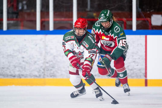 under ishockeymatchen i SDHL mellan Frölunda och Modo