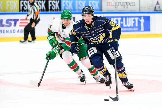 HV71s Wilhelm Hallquisth