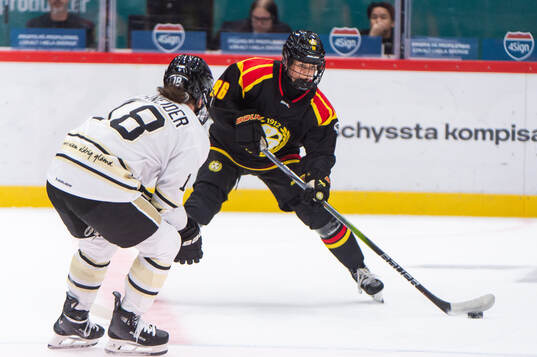 Brynäs Sanni Vanhanen
