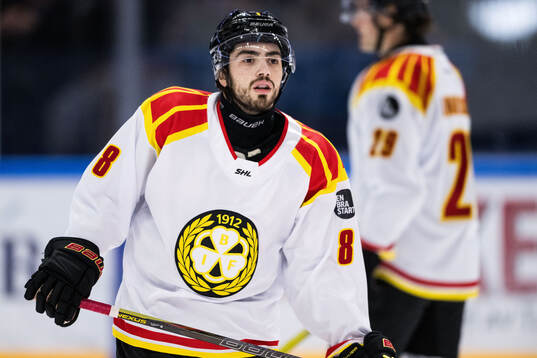 Brynäs Bobby Trivigno