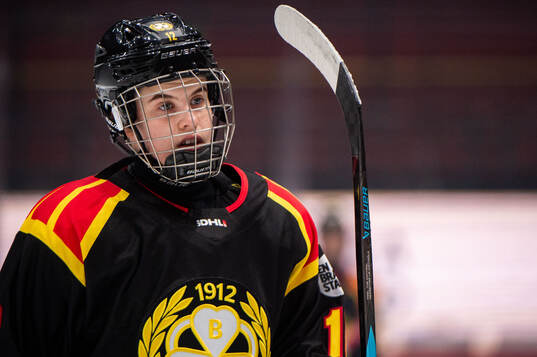Brynäs Elin Fahlstedt
