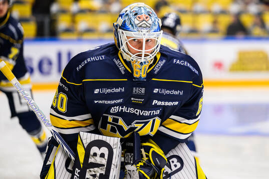 målvakt Hugo Alnefelt
