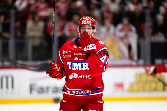Timrås Maximilian Eisenmenger