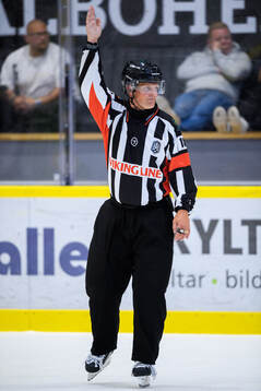 Domare Mikael Nord