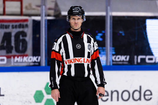 Domare Stefan Leijonklo