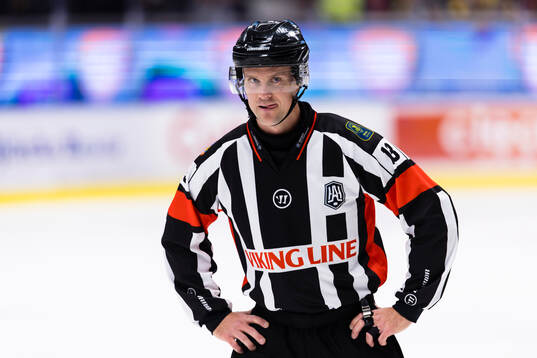 Domare Stefan Leijonklo
