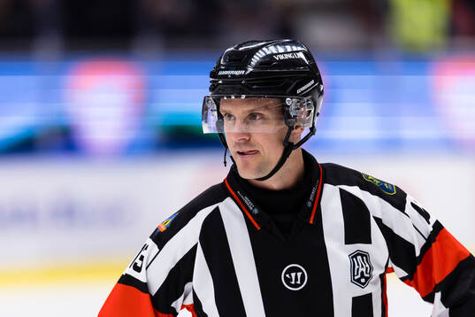 Domare Stefan Leijonklo