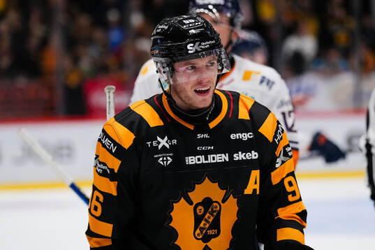 Skellefteås Rickard Hugg