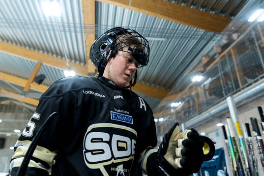 SDEs Lisa Johansson