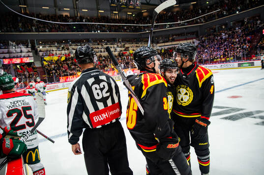 Bläddra bland fler bilder av Ishockey, SHL, Brynäs - Frölunda