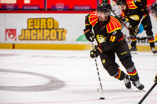 Brynäs Anton Rödin