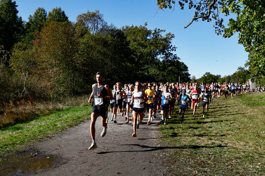 Starten i Män 30 km
