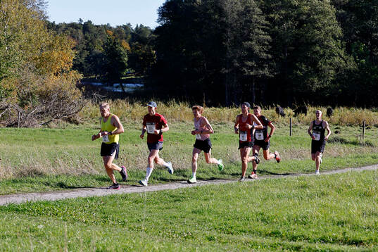 Löpare i Män och Kvinnor 30 km