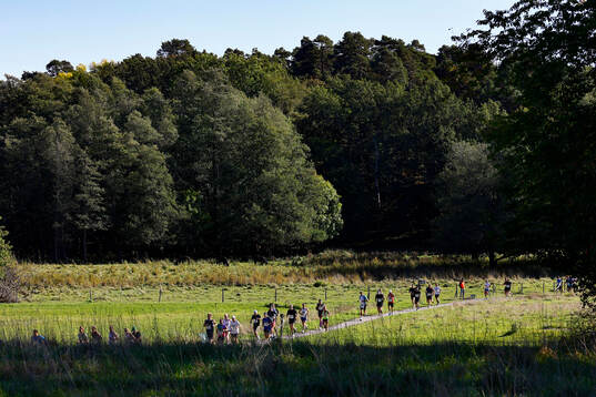 Löpare i Män och Kvinnor 30 km