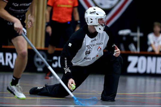 Linköpings målvakt Leo Torell Hagström