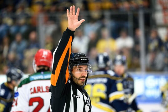 Domare Mattias Enroth