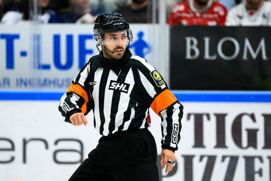 Domare Mattias Enroth