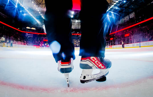 En domare hämtar pucken ur målet