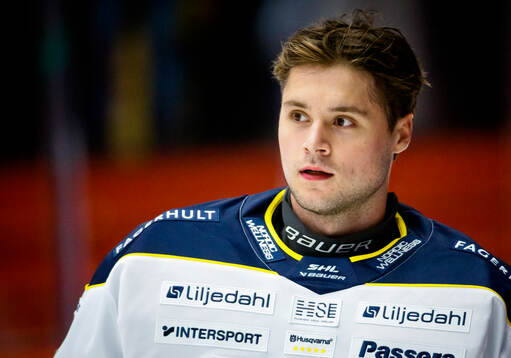 HV71s målvakt Frederik Dichow
