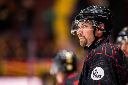 Brynäs Anton Rödin