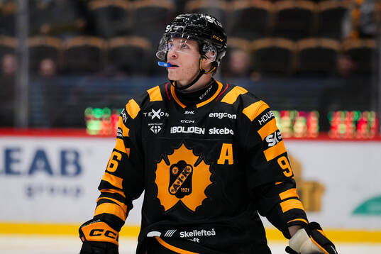 Skellefteås Rickard Hugg