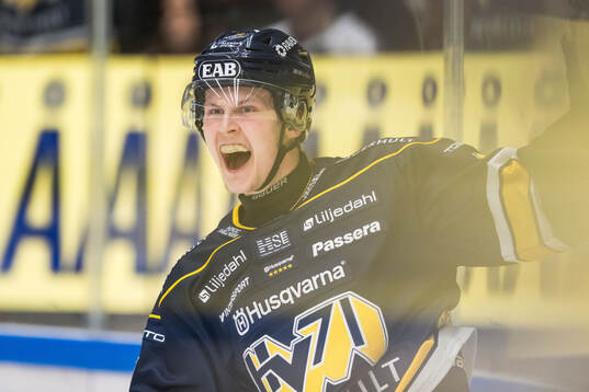 HV71s Hugo Pettersson jublar