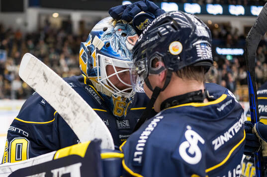 HV71s målvakt Hugo Alnefelt jublar
