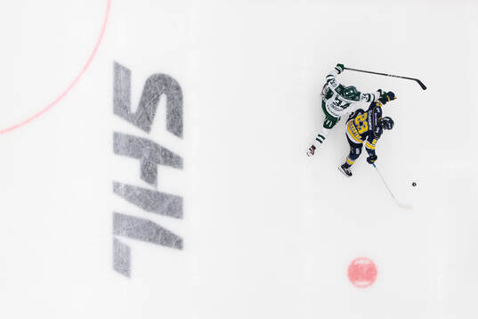 Färjestads Michael Lindqvist och HV71s Åke Stakkestad