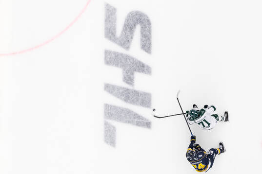 HV71s Sean Day och Färjestads Viktor Lodin