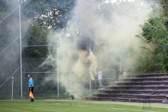bengaler