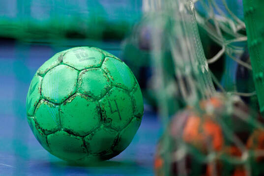 En handboll