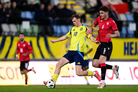 Williot Swedberg of Sweden and Nikoloz Ugrekhelidze of