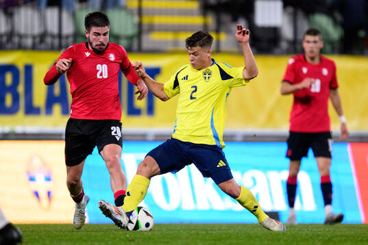 Giorgi Abuashvili of Georgia and Samuel Dahl of Sweden