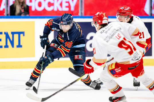 Djurgårdens Dick Axelsson