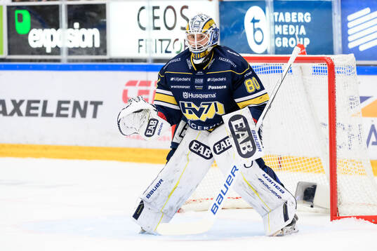HV71s målvakt Frederik Dichow