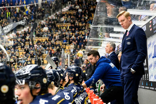 HV71s tränare Anton Blomqvist