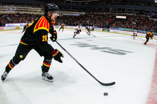 Brynäs Tyler Vesel