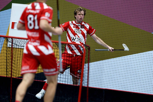 Pixbos Felix Lanver jublar