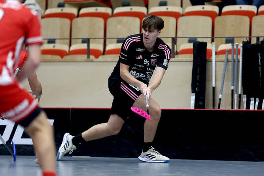 Faluns Emil Ruud