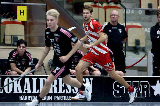 Pixbos Linus Nestorsson