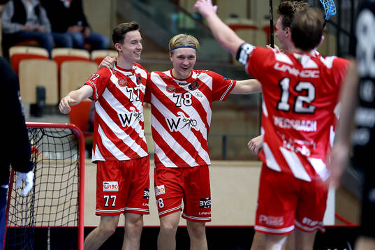 Pixbos Jakob Heins och Victor Johansson jublar